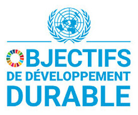 logo objectifs developpement durable nations unis
