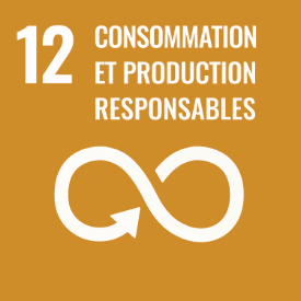 logo consommation et production responsables